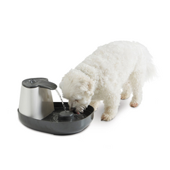 Savic - Cascade 3 in 1 Drinking Fountain