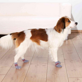 Trixie - non-slip - Dog Socks