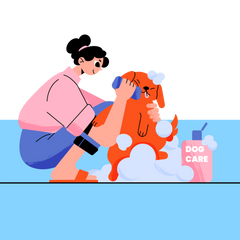 Dog Grooming