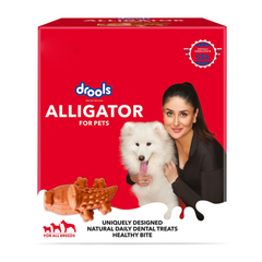 Drools - Alligators